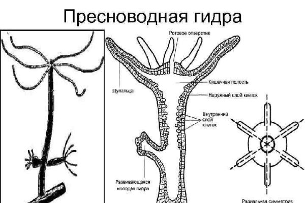 При входе на кракен пишет вы забанены