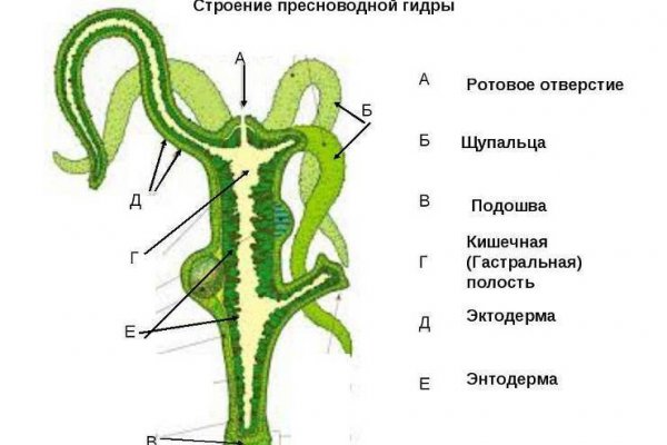 Кракен сайт kr2web in